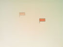 Flagging (2012)