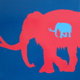 Mammoth Savings Down at the Ice Bank