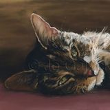Ali