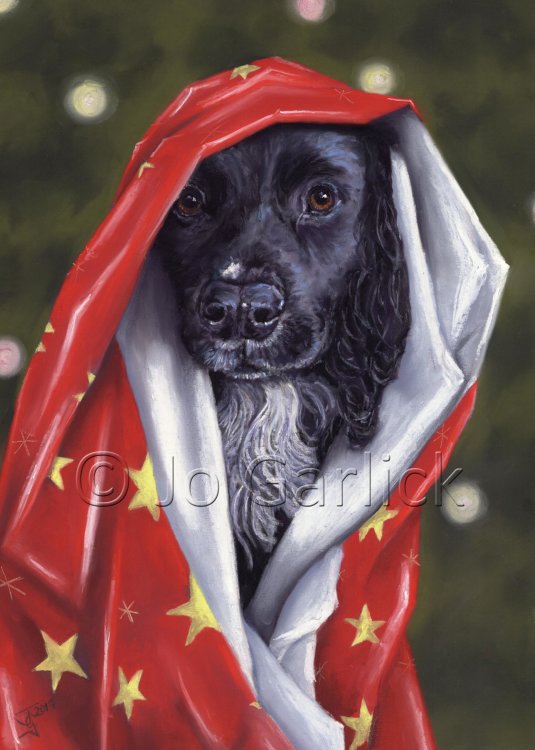All Wrapped Up