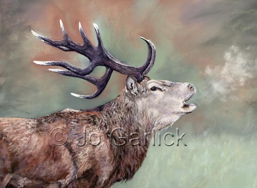 Autumn Stag