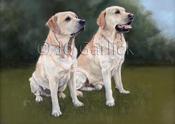 Charlie and Timber