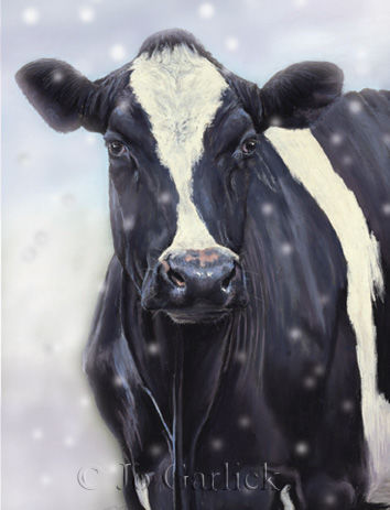Cow in Snow