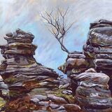 Lone Tree, Brimham Rocks