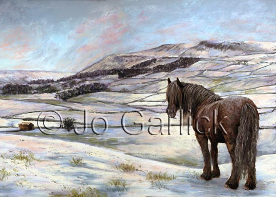 Dales Winter