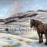 Dales Winter