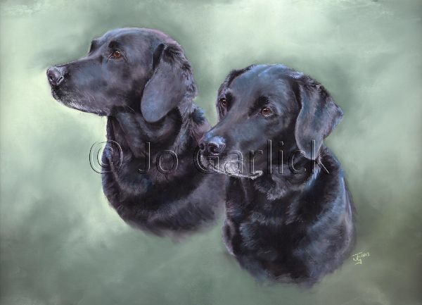 Damson and Boysie