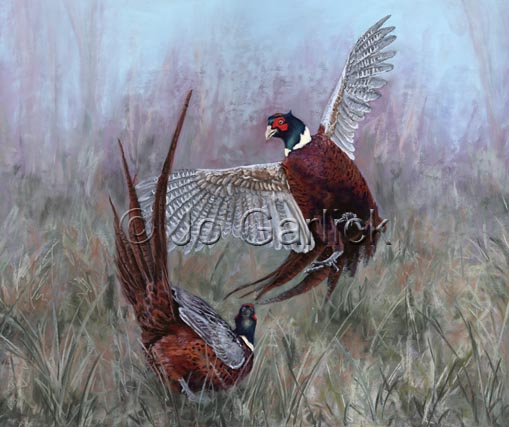 Fight or Flight
