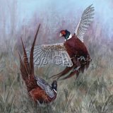 Fight or Flight