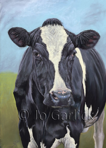 Friesian Cow 2