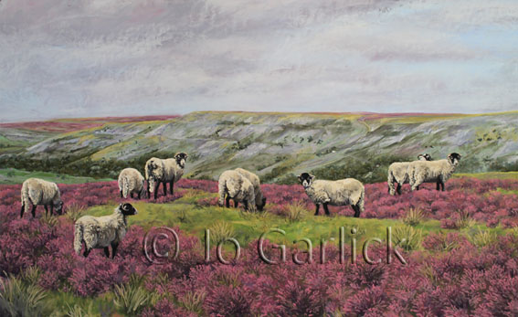 Grazing Grinton Moor