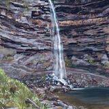 Hardraw Force