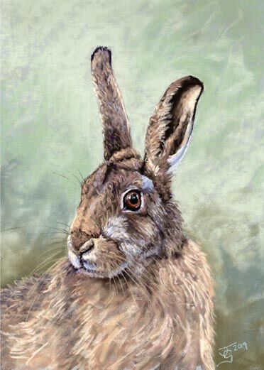 Hare 2