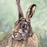 Hare 2