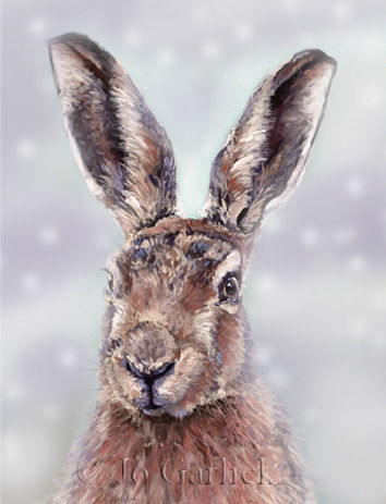 Hare in Snow