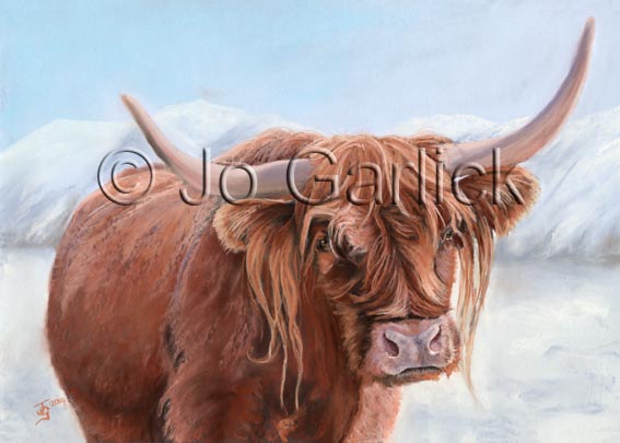 Highland Winter