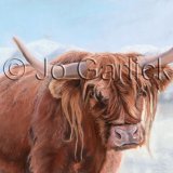 Highland Winter