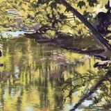 River Study