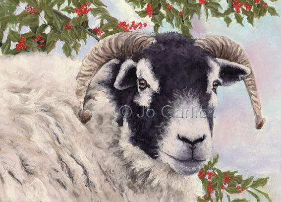 Sheep and Holly