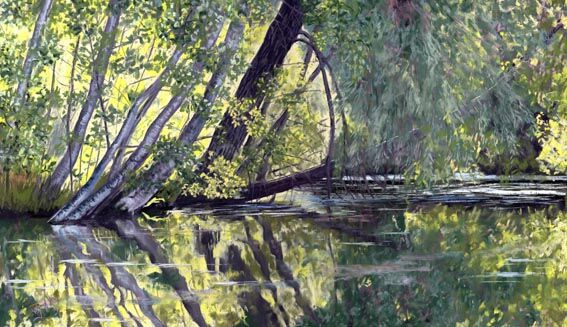 Summer Light