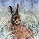 Winter Hare (greeting card)