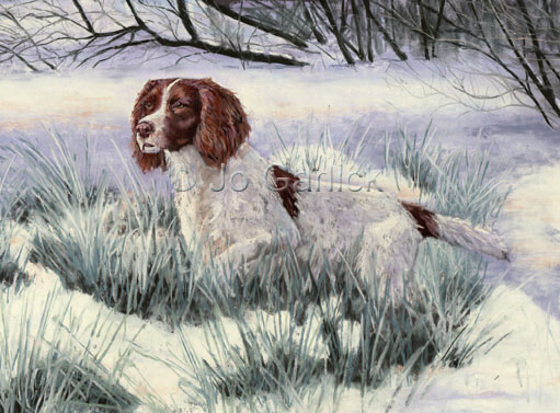 Winter Springer