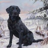 Eagerly Waiting (greeting card)