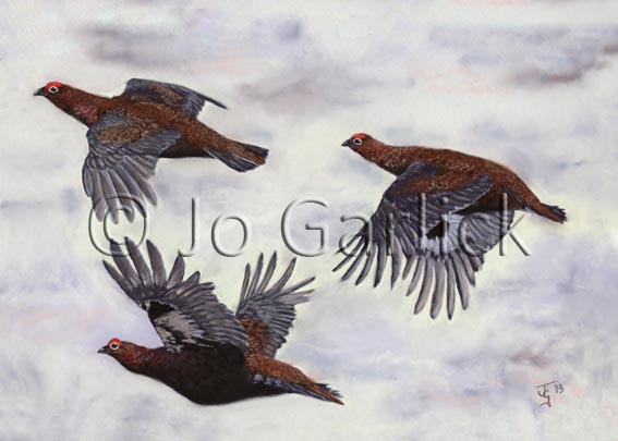 Winter Flight