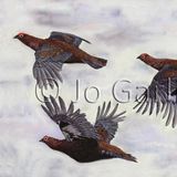 Winter Flight