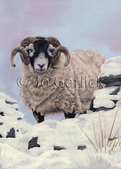 Gap in the Wall (greeting card)