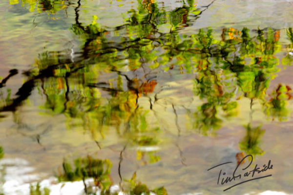 autumn reflection in water, Snowdonia, Wales