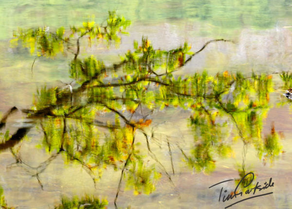 autumn reflection in water, Snowdonia, Wales