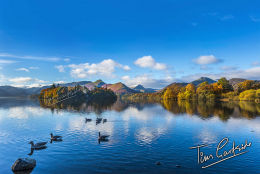 10112013_2334bg
