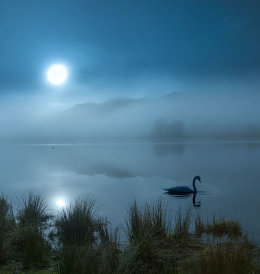 misty lake, Rydal