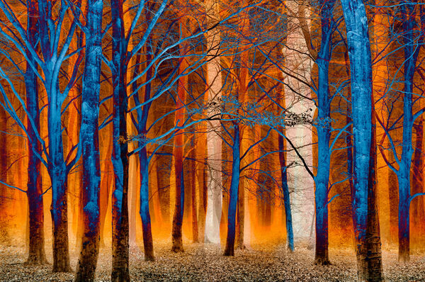 FIRE AND ICE CONCEPT