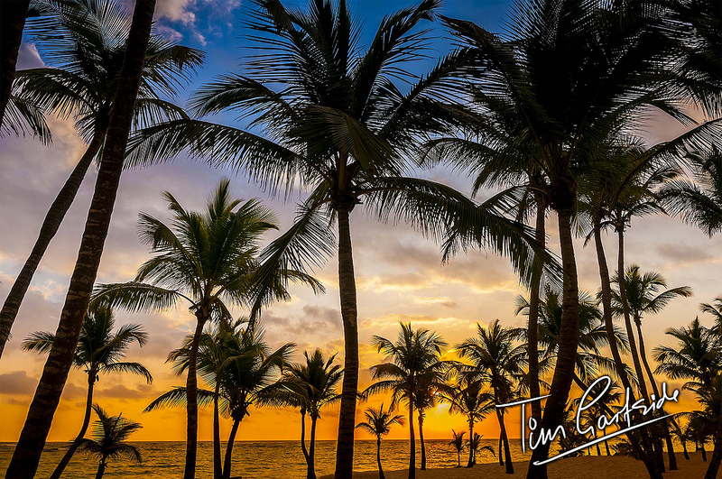 beach; Riu Palace; hotel; Punta Cana; Dominican Republic; Caribbean