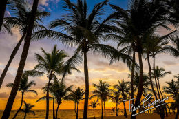 beach; Riu Palace; hotel; Punta Cana; Dominican Republic; Caribbean