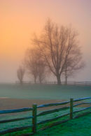 Foggy sunrise Sussex with wooden gate