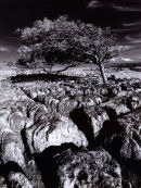 Limestone karst rock formation No.2