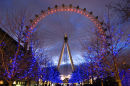 london_eye_night16