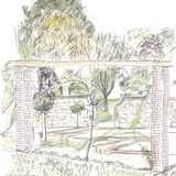 Howard Davis Rose Garden