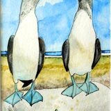 MM 402 A5 Watercolour Pencil