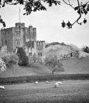Bothal Castle