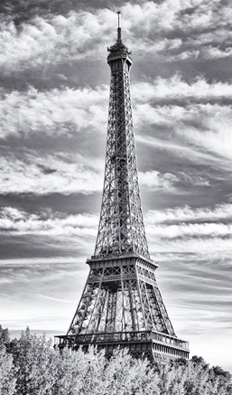 The Eiffel Tower