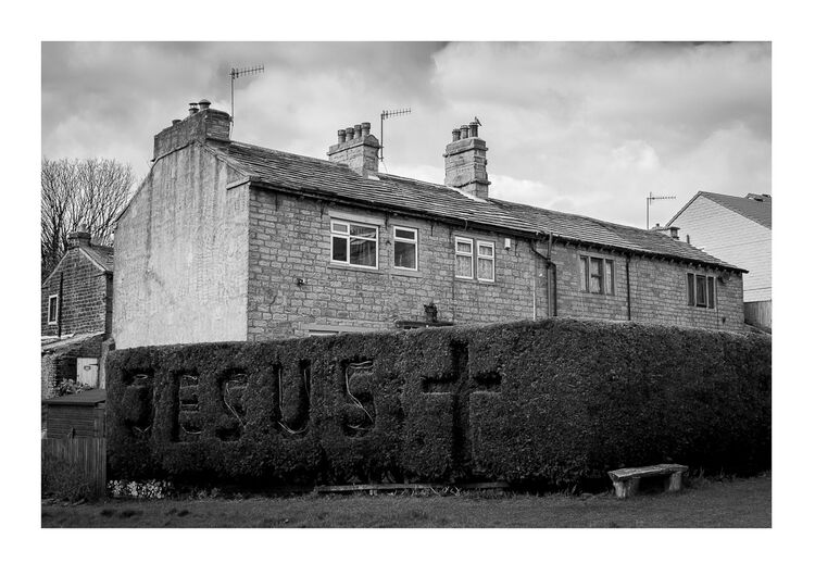 Jesus Hedge A4 print sold out