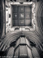 Crossing and Organ