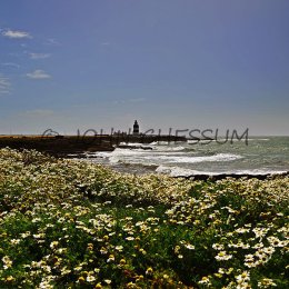 The Hook Lighthouse, County Wexford, Ireland
