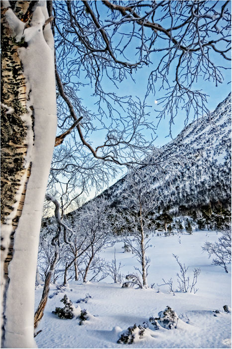 A Piece Of Wonderland