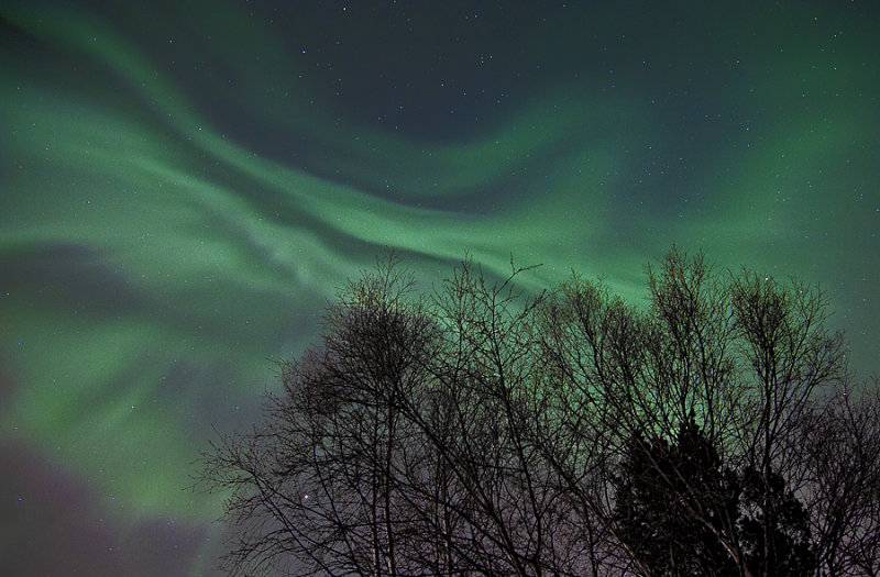 A touch of Aurora