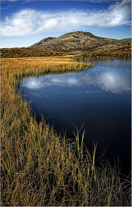 Bay